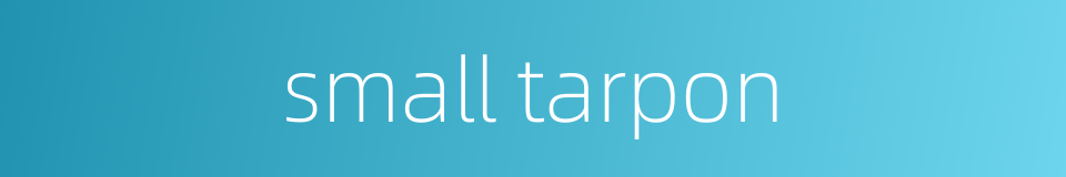 small tarpon的同义词