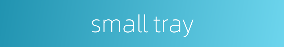 small tray的同义词