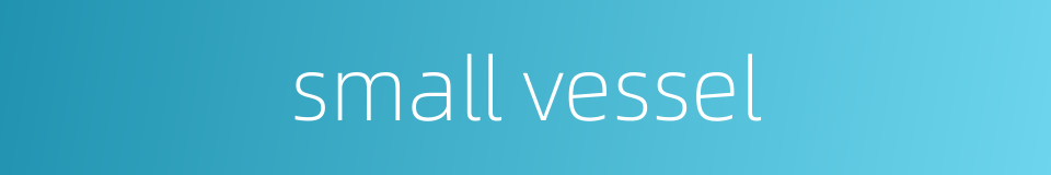 small vessel的同义词