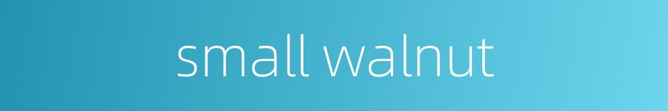small walnut的同义词