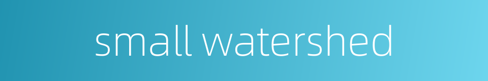 small watershed的同义词