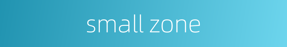 small zone的同义词