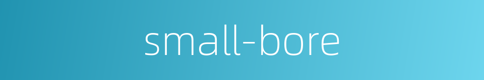 small-bore的同义词