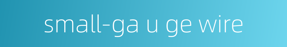 small-ga u ge wire的同义词