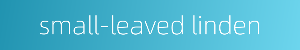 small-leaved linden的同义词