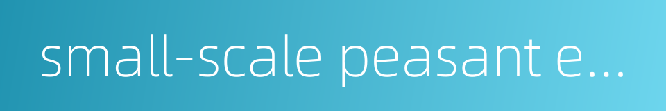 small-scale peasant economy的同义词