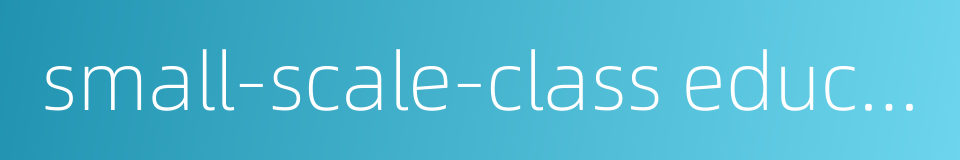 small-scale-class education的同义词