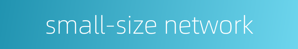 small-size network的同义词