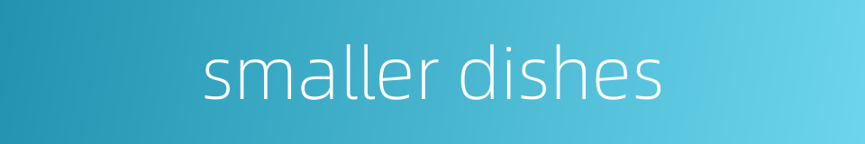 smaller dishes的同义词