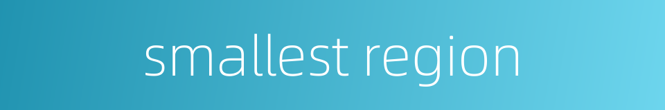 smallest region的同义词