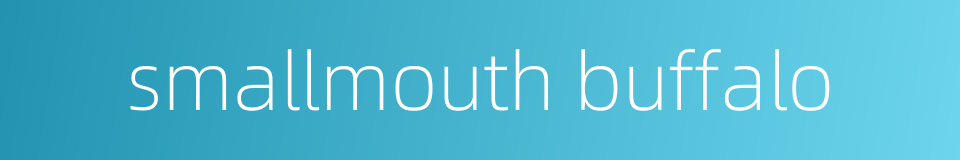 smallmouth buffalo的同义词