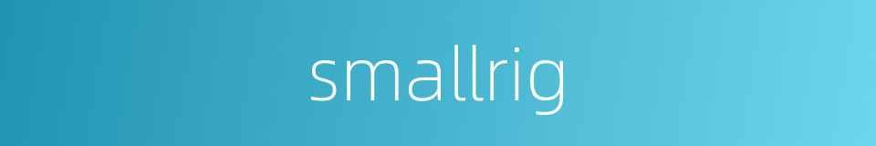 smallrig的同义词