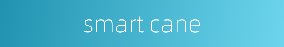 smart cane的同义词