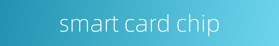 smart card chip的同义词