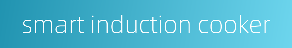 smart induction cooker的同义词