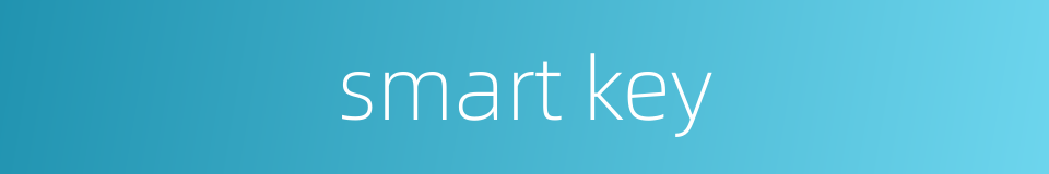 smart key的同义词
