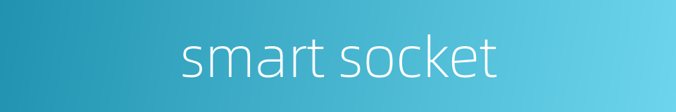 smart socket的同义词