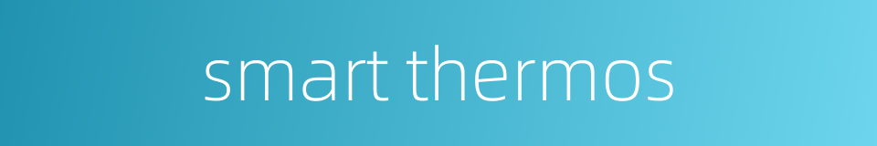 smart thermos的同义词