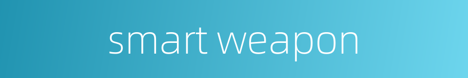 smart weapon的同义词