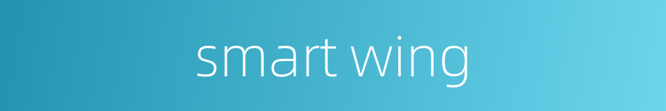 smart wing的同义词