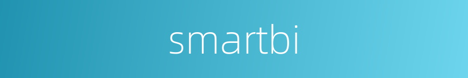 smartbi的同义词