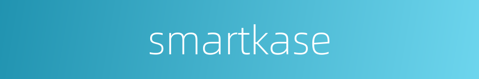 smartkase的同义词