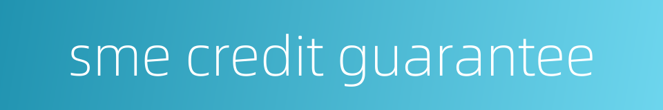 sme credit guarantee的同义词