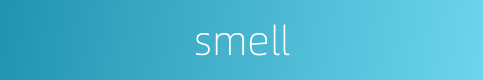 smell的同义词