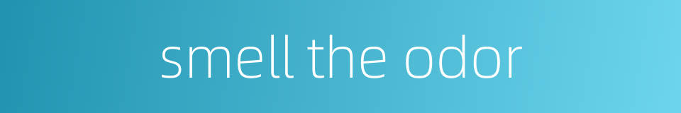 smell the odor的同义词