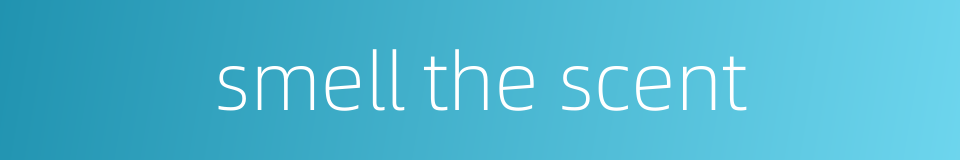 smell the scent的同义词