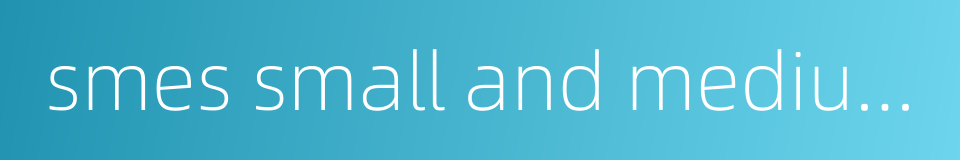 smes small and medium-sized enterprises的同义词