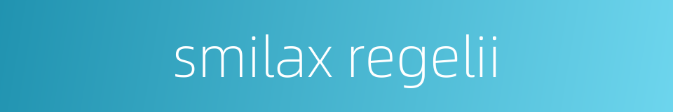 smilax regelii的同义词