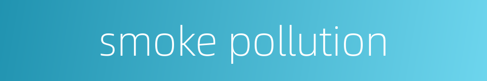 smoke pollution的同义词