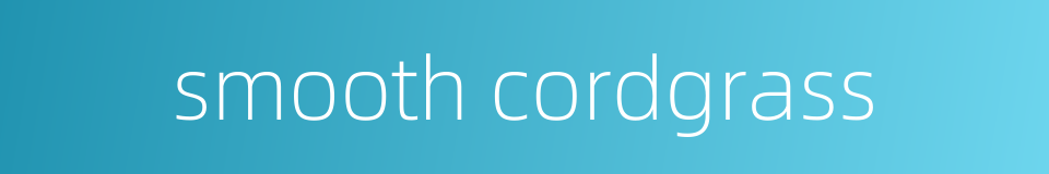 smooth cordgrass的同义词