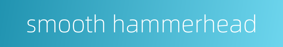 smooth hammerhead的同义词