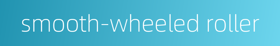smooth-wheeled roller的同义词