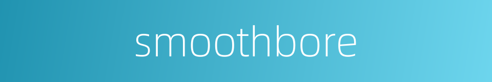 smoothbore的同义词