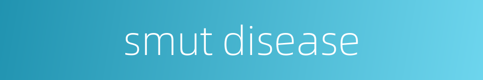 smut disease的同义词