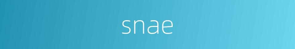 snae的同义词