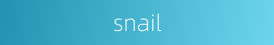 snail的同义词