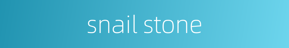 snail stone的同义词