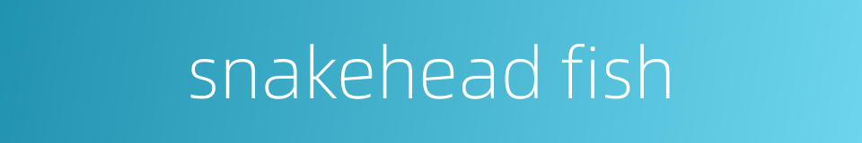 snakehead fish的同义词