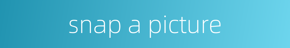 snap a picture的同义词