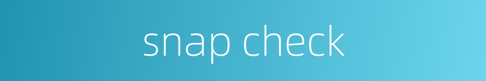 snap check的同义词