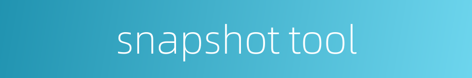 snapshot tool的同义词