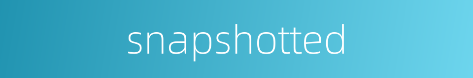 snapshotted的同义词