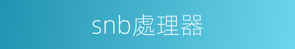 snb處理器的同義詞