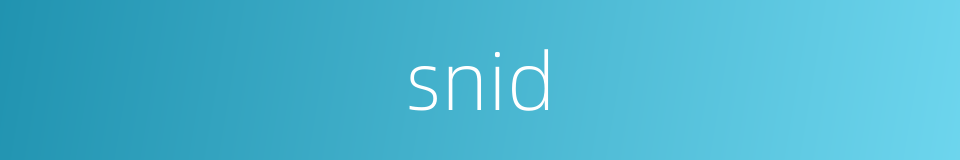snid的同义词