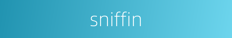 sniffin的同义词