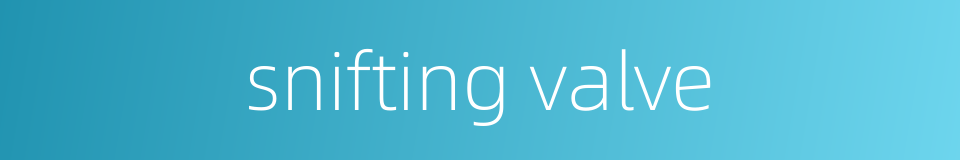 snifting valve的同义词